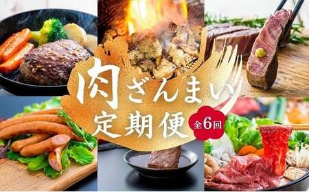 肉ざんまい定期便 全6回 6か月 牛肉 焼肉 ステーキ スライス 鶏肉 ウインナー ハンバーグ