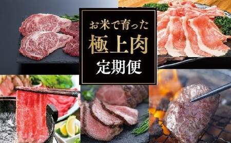 お米で育った肉のバラエティ定期便(毎月発送・計5回)