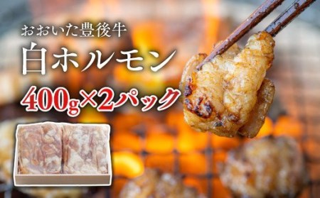 0C1-128 おおいた豊後牛 白ホルモン(400g×2P)