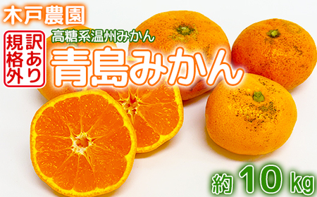 [訳あり・規格外品]木戸農園の青島 約10kg 高糖系温州みかん[113-014_5]