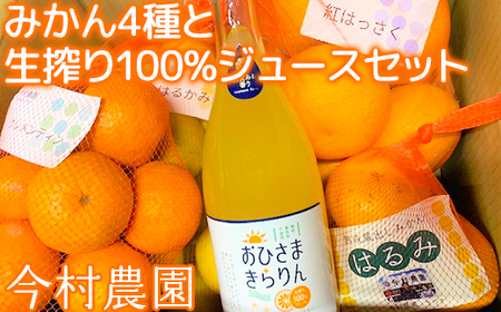 今村農園のみかん4種(計約8kg)とおひさまきらりん 生搾り100%ジュースセット [107-041_5]