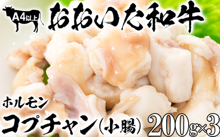 おおいた和牛ホルモン(コプチャン 200g×3)[ニード牧場] [129-018_6]