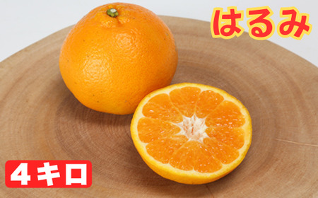 はるみ バラ詰め 4kg / ミカン みかん 蜜柑 柑橘類 はるみ 4kg 先行予約 フルーツ [132-008]