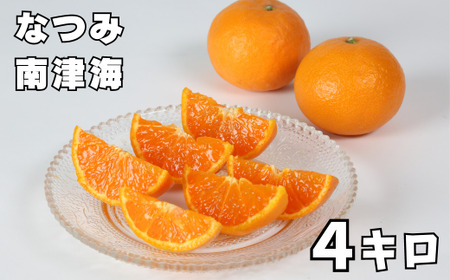 ÊC[Ȃ] 4kg ^ ~J ݂  k ÊC 4kg s\ t[c 132-009