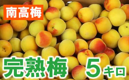 ひらそ農園の完熟梅 5kg 梅 南高梅 完熟梅 梅干し 梅干 梅干し用 梅酒  梅シロップ 梅ジャム 5キロ 数量限定 先行予約 6月 ＜004-009＞