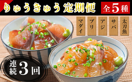 [2Jn]ցES3(A)啪yイイS5(^ Ԃ L゠ Lコ )e1H3񂨓͂I(5×1H×3) hg Ⓚ Zbg CN Ђ Yn 啪 ^