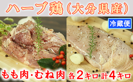 啪Y n[u{v4kgiEނ˓ e2kgj { ① Y  ނ 4L 153-002_5