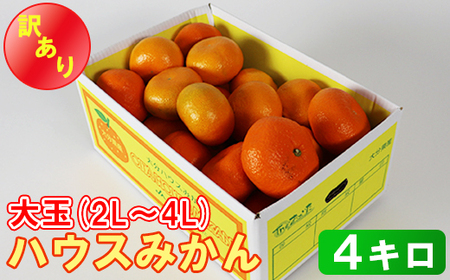 [期間限定][訳あり・大玉]ハウスみかん約4kg(バラ詰め)※サイズ2L〜4L混合 温州ミカン 6月 7月 8月 ハウスみかん フルーツ 先行予約 九州 大分 杵築 [132-015]