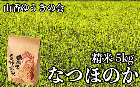 【 令和7年産 新米 先行予約 】山香ゆうきの会の米 5kg（精米：なつほのか） 新米 5kg 米 先行予約 先行受付 ＜002-010＞