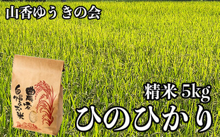 【 令和7年産 新米 先行予約 】山香ゆうきの会の米 5kg（精米：ひのひかり） 新米 5kg 米 先行予約 先行受付 ＜002-004＞