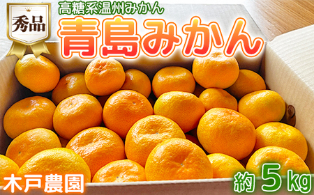 [期間限定発送]高糖系温州みかん 木戸農園の青島 約5kg (秀品) [113-019]