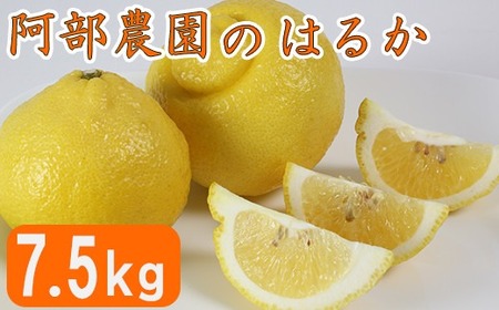 y󂠂iz_́u͂邩 7.5kgv ^ ~J ݂  k ͂邩 s\ 3 󂠂 ʌ t[c F݂ 112-010