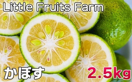 蔲Q!ʏ`Ղ!gt[ct@[̂ڂ 2.5kg ^ k ʕ t[c 9 10 11 12 116-001