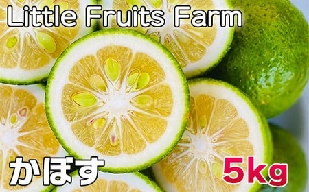 蔲Q!ʏ`Ղ!gt[ct@[̂ڂ 5kg ^ k ʕ t[c 9 10 11 12 116-002