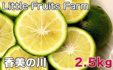蔲Q!ʏ`Ղ!gt[ct@[̂ڂu̐v 2.5kg ^ k ʕ t[c 9 10 11 12 116-004