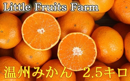 y󂠂izgt[ct@[̉B݂ 2.5kg ^ ~J ݂  k 󂠂 s\ 2.5kg B݂ t[c ʕ 116-021