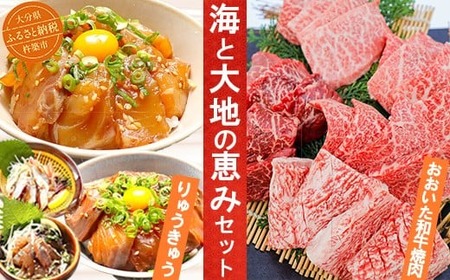 りゅうきゅう4種+おおいた和牛焼肉 [海と大地の恵みセット] 杵築市 セット ＜801-001＞