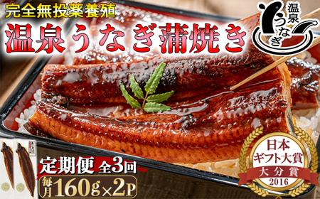 [定期便(毎月)全3回]温泉うなぎ蒲焼 2尾(160gサイズ) 九州 [104-802]