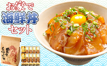 [10月下旬お届け]新米ひのひかり+りゅうきゅう4種 [新米で海鮮丼セット] 杵築市 セット [801-004]