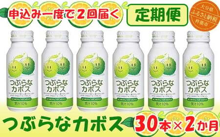 2(A)ԂȃJ{X 190gi30{×2j ^ Ԃ ԂȃJ{X  2 2 W[X ڂhN  lC q  ʏ` nW[X 