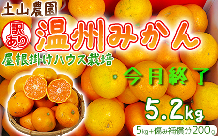 �y�󂠂�z�y�R�_���̉��B�݂��� �����|���n�E�X�͔| 5kg�{���ݕ⏞��200g �ƒ�p �i�{�쑁���Ƌ��Ñ����̍����j��s�\�� ���k�� �t���[�c 12�� 1�� ���Ԍ��� �ʕ� ��B ��050-001��