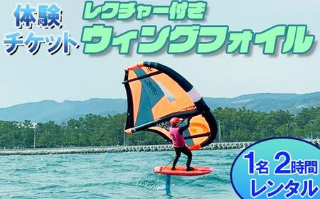[体験チケット]ウイングフォイル 1名 レンタル 2時間 レクチャー付き [マリンショップBUZZ][163-009]