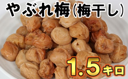 [訳あり・やぶれ梅]ひらそ農園の完熟南高梅の梅干し 1.5kg(塩分約13%)[004-001_5]