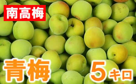 ひらそ農園の青梅 5kg 梅 南高梅 青梅 梅干し 梅干 梅干し用 梅酒用 梅酒 梅シロップ 梅ジャム 5キロ 数量限定 先行予約 ＜004-007＞