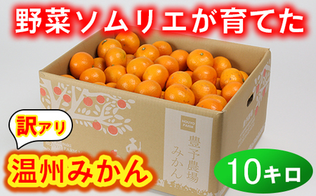 [訳あり・規格外品]野菜ソムリエ石児さんの「温州みかん 10kg」 ミカン みかん 柑橘 10kg 柑橘類 訳あり 先行予約 11月 12月 1月 甘い 温州みかん フルーツ [103-005_5]