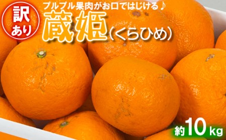 [訳あり・優品]今村農園の蔵姫くらひめ(紅甘夏) 約10kg[107-030_5]