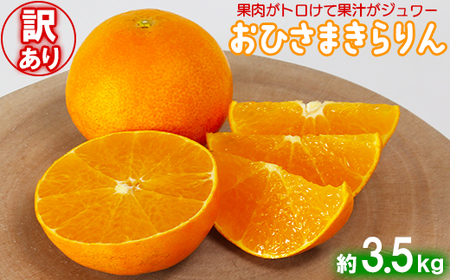 y󂠂EDiz_̂Ђ܂ 3.5kg ʕ Ԍ ʌ B 󂠂 107-019_7