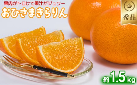 今村農園のおひさまきらりん 約1.5kg[秀品][107-023_5]