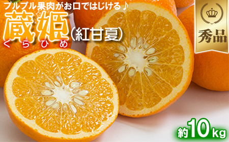 _̑PЂ߁igÉāj 10kgyGiz ʕ Ԍ ʌ B 107-033_7