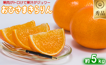 今村農園のおひさまきらりん 約5kg[秀品] 期間限定発送 [107-025_7]