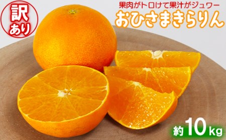y󂠂EDiz_̂Ђ܂ 10kg ʕ Ԍ ʌ B 󂠂 107-021_7