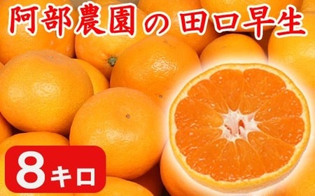 y󂠂iz_́uc 8kgv ^ ~J ݂  k x 󂠂 11 s\ Nz Â B݂  N t[c 112-001