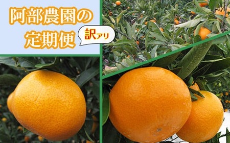 _̖󂠂A@cEΒnEi11E12E1j ^ ~J ݂  k  󂠂 s\ B݂ 11 12 1 t[c 112-801