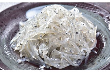 国産！添加物不使用！豊後別府湾生しらす 500g（100g×5パック）＜108-029_5＞