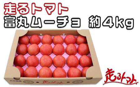 「走るトマト」の大玉トマト富丸ムーチョ 約4kg[140-001_5]