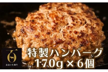 おおいた和牛特製ハンバーグ170g×6個（計1020g）【匠牧場】＜102-030_5＞