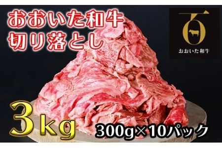おおいた和牛切り落とし3kg(300g×10p) ※真空パック [匠牧場] 牛肉 切り落とし すき焼き 牛 小分け 和牛 おすすめ 国産 おおいた和牛 おおいた和牛 バーベキュー 生産者応援の品 父の日 [102-004_5]