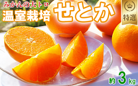 _͔̉|Ƃ I 3kg ʕ Ԍ ʌ B 066-004_5
