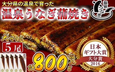 yzw\z򂤂Ȃ 5i160gTCYj YȂ lC Y  Ă ΏĂ V  Ⓚ ^ Mtg 104-013_5