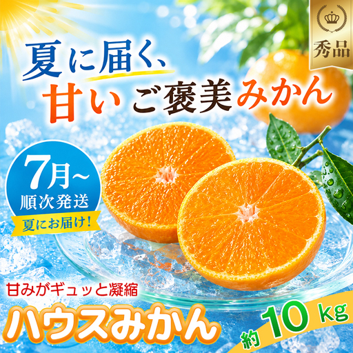 ハウスみかん 秀品 約10kg【今村農園】 夏 果物 ギフト 数量限定 期間限定 九州 ＜107-009＞