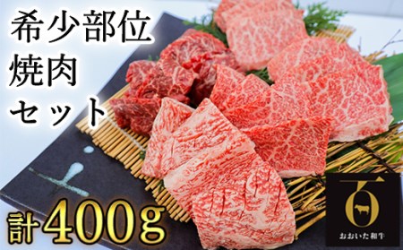 希少部位4種焼肉セット400g[匠牧場]おおいた和牛[102-011_5]