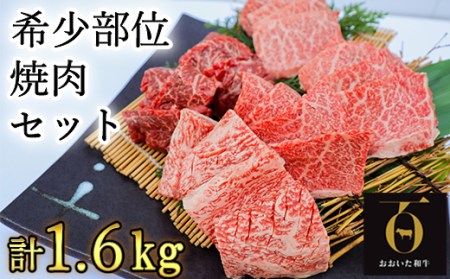 希少部位4種焼肉セット1.6kg（800g×2箱）【匠牧場】おおいた和牛＜102-014_5＞