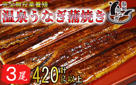 温泉うなぎ蒲焼 3尾(140gサイズ) 国産うなぎ 父の日 [104-008_5]