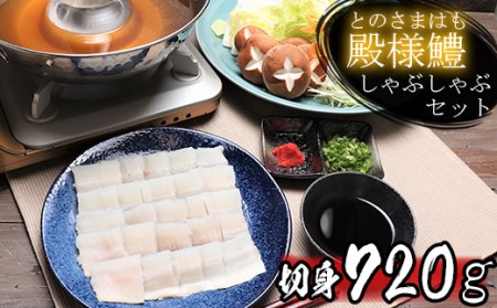 殿様鱧（とのさまはも）しゃぶしゃぶセット 切身720g 6人前～8人前 鍋 魚 鱧 はも ハモ 鱧しゃぶ 湯引き 鱧鍋 鱧しゃぶセット しゃぶしゃぶ 骨切り 天然鱧 冷凍 敬老の日 ＜101-013_5＞