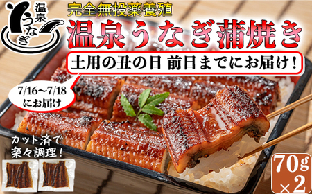 [ 土用の丑 前日までにお届け ] 完全無投薬養殖 国産 温泉うなぎ蒲焼 (カット) 70g×2 期間限定 土用の丑 丑の日 土用の丑の日 [104-057_5]