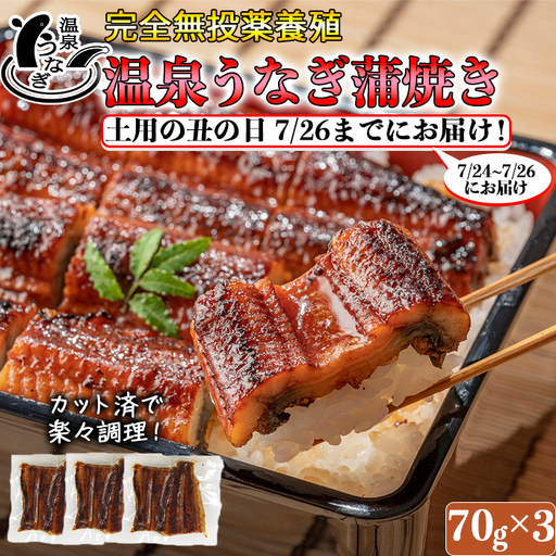 土用の丑 までに(7/24～7/26)お届け 完全無投薬養殖 温泉うなぎ蒲焼 (カット) 70g×3【大分水産】 国産 うなぎ 丑の日 土用の丑の日 鰻 ＜104-058＞